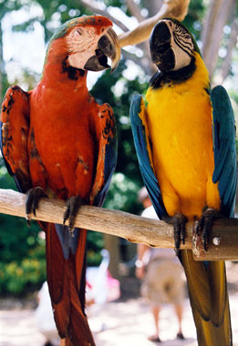 Friends...